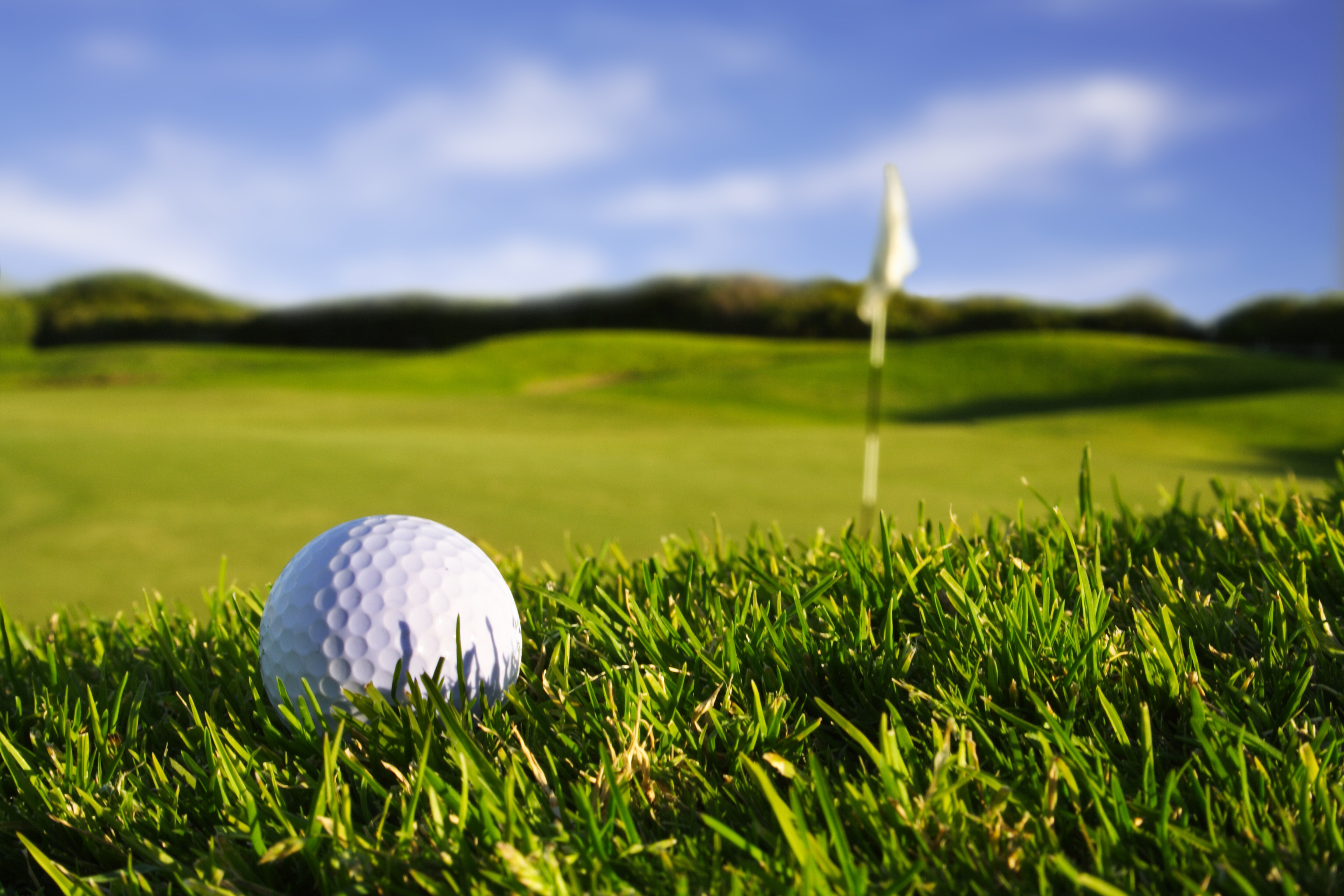 White golf ball on green grass